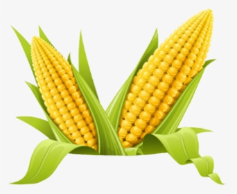 #trend #fiesta #idk #popcorn #corn #polyvore #nature - Corn Hd, HD Png Download, Free Download