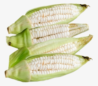 Choclo Entero Whole Peruvian Corn - Corn On The Cob, HD Png Download, Free Download