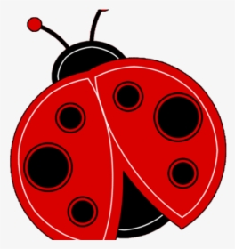Free Cliparts Ladybugs - Ladybug Clipart, HD Png Download, Free Download