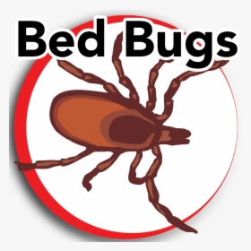 Insect Clipart Bed Bug - Almost Real Things Logo, HD Png Download, Free Download