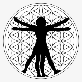 Vitruvian Man Silhouette, HD Png Download, Free Download