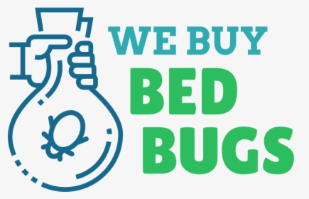 We Buy Bed Bugs - Graphic Design, HD Png Download, Free Download