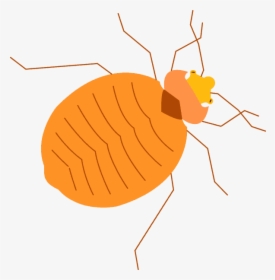 Pest, HD Png Download, Free Download