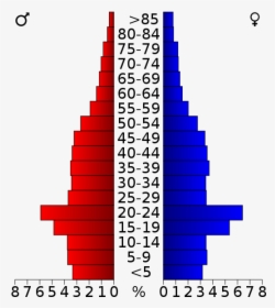 Usa Yolo County, California Age Pyramid - Population Pyramid Of Wisconsin, HD Png Download, Free Download