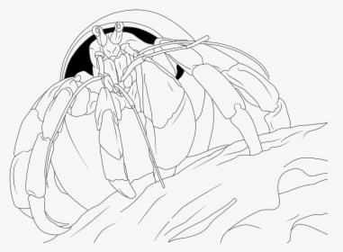Hermit Crab Coloring Free, HD Png Download, Free Download