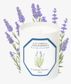 Lavender - Candle, HD Png Download, Free Download