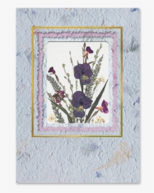 Viola Sprigs Card Image - Picture Frame, HD Png Download, Free Download