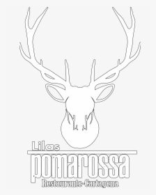 Logo De Lilaspomarossa - Elk, HD Png Download, Free Download