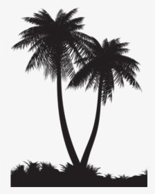 Palm Tree And Swing Png - Palm Tree Silhouette Png, Transparent Png, Free Download