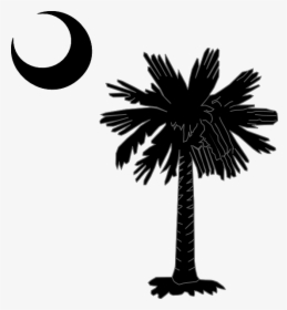 Transparent Moon Outline Png - Palmetto Tree Clipart, Png Download, Free Download