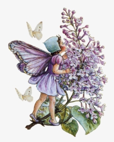 Imágenes Vintage Gratis Hada Png - Cicely Mary Barker Fairy Png, Transparent Png, Free Download