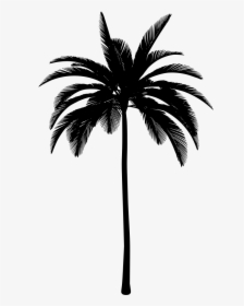 Transparent Palm Tree Icon Png - Palm Tree Icon Transparent, Png Download, Free Download