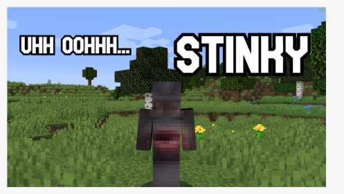 Stinky Poopy Minecraft Skin, HD Png Download, Free Download