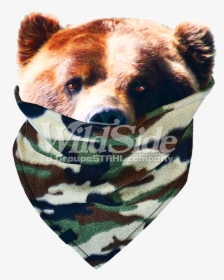Transparent Bandit Mask Png - Grizzly Bear, Png Download, Free Download