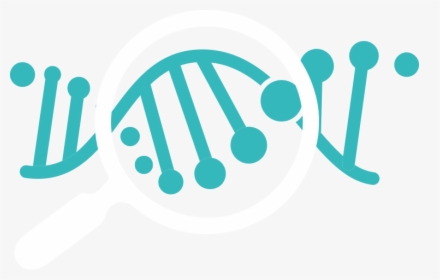 Molecular Diagnostics Clipart, HD Png Download, Free Download
