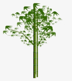 Bamboo Png, Download Png Image With Transparent Background, - Portable Network Graphics, Png Download, Free Download