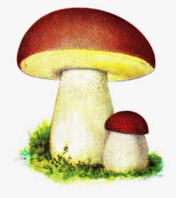 Karl Johanssvamp, Iduns Kokbok - Артикуляционная Гимнастика В Стихах, HD Png Download, Free Download