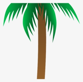 Palm Trees Clipart, HD Png Download, Free Download