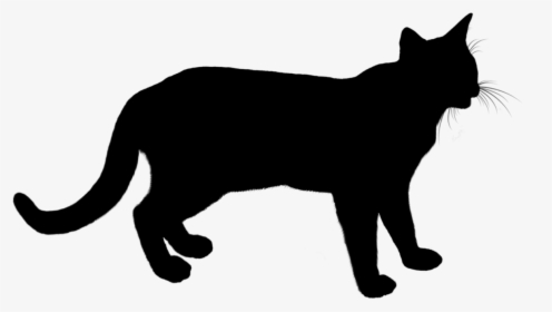 Cat Animal Silhouette - Cat, HD Png Download, Free Download