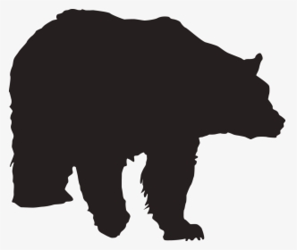 Polar Bear Brown Bear - Portable Network Graphics, HD Png Download, Free Download