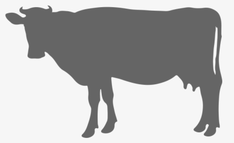Transparent Cow Silhouette Png - Ll Love You Till The Cows Come Home, Png Download, Free Download