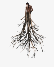 Tree Roots Surreal Man Tumblr, HD Png Download, Free Download