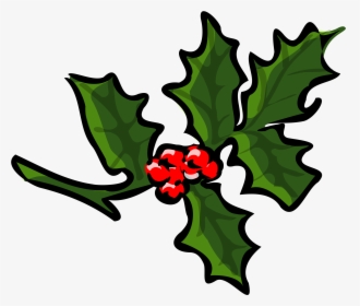 Clip Art Holly Branch Clipart - Computer Science Jumble Words, HD Png Download, Free Download