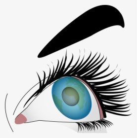 Iris,eye,organ - Drawing Eye In Computer, HD Png Download, Free Download
