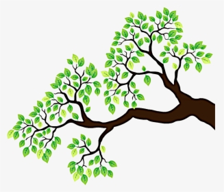 Branch Tree Drawing Clip Art - Tree Drawing With Branches, HD Png Download, Free Download