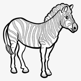 Zebra-lineart - Line Art Of Zebra, HD Png Download, Free Download
