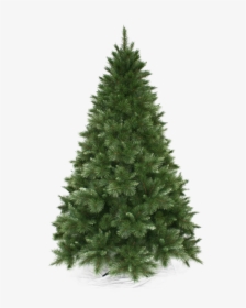 Christmas Pine Tree Png Background Image - Christmas Tree, Transparent Png, Free Download