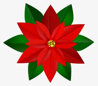 Poinsettia Christmas Clip Art, HD Png Download, Free Download