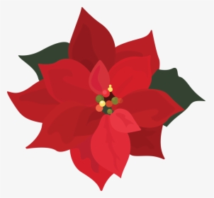 Png Download , Png Download - Poinsettia Clip Art Png, Transparent Png, Free Download