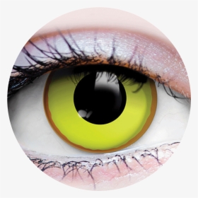 Primal® Nightcrawler"  Class= - Primal Costume Contact Lenses Yellow, HD Png Download, Free Download