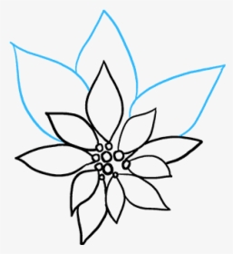 How To Draw Poinsettia - Line Art, HD Png Download, Free Download