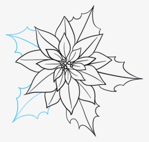 How To Draw Poinsettia - Poinsettia How To Draw, HD Png Download, Free Download