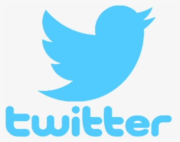 Twitter Logo Png 2019, Transparent Png, Free Download