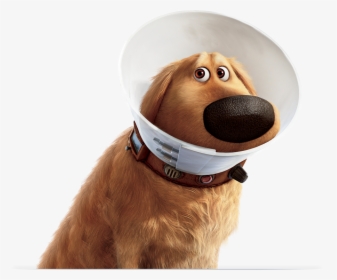 Dog From Up With Cone, HD Png Download, Free Download
