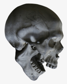 Human Skull Symbolism Skeleton Human Anatomy - Skeleton Head Png, Transparent Png, Free Download