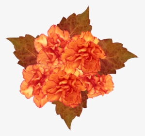Orange Flowers - Png V - 8 - 1 Photos - - Tagetes Patula, Transparent Png, Free Download