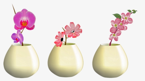 Flowers In Vase, Orchid, Pink Flowers, Plant, Nature - Mensagens De Boa Noite, HD Png Download, Free Download