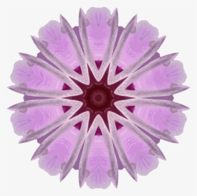 Pink,flower,lilac - Circle, HD Png Download, Free Download