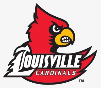 University Of Louisville Cardinals Logo, HD Png Download, Free Download