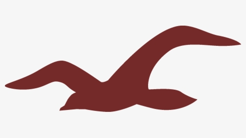 Hollister Logo Png - Transparent Background Hollister Logo, Png Download, Free Download