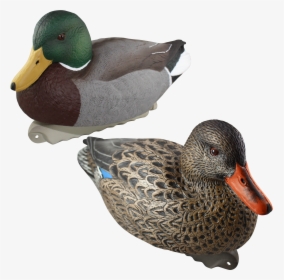 Mallard Duck Decoys, HD Png Download, Free Download