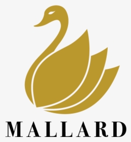 Mallard Marketing Logo - Duck, HD Png Download, Free Download