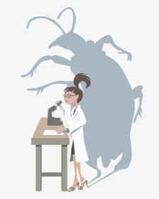 Bug, Research, Female, Insect, Beetle, Investigate - Cartoon Scientist Doing Research, HD Png Download, Free Download