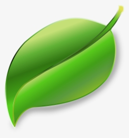 Plant,leaf,fruit - Daun Clipart, HD Png Download, Free Download