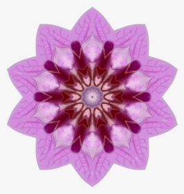 Pink,flower,symmetry - Dynamite Colouring Page Free, HD Png Download, Free Download