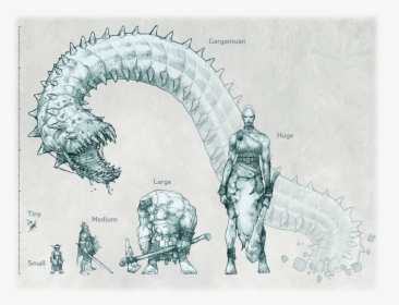 Rules/monster Size Chart - Dnd 5e Size Chart, HD Png Download - kindpng